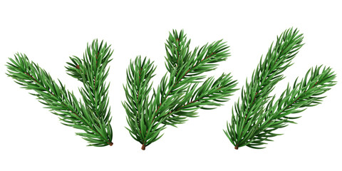 Vector realistic pine tree branch for Christmas and New Year design isolated on a transparent background. Holiday fir tree branch for winter banner, poster, greeting card.