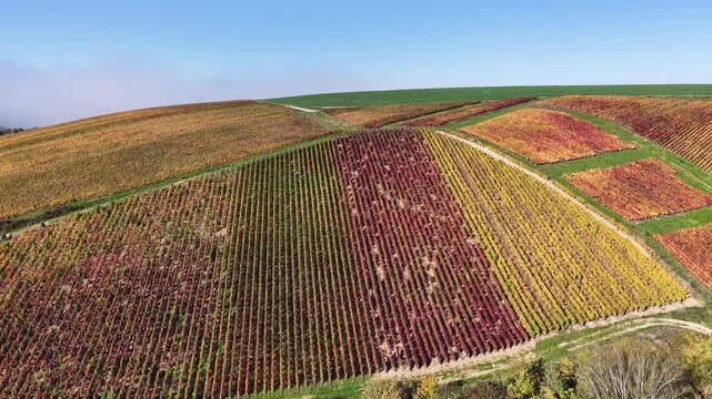 vue a&eacute;rienne des vignobles des Riceys en Champagne. les parcelles color&eacute;es durant l'automne avec de belles couleurs et un ciel bleu. Le feuillage rouge et jaune des vignes sur les c&ocirc;teaux de ce site