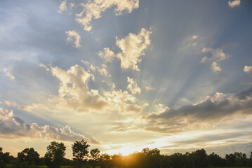 Fototapeta premium Sun setting over trees and field with dramatic, streaked sky.