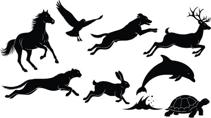 Silhouettes of animals in motion including horse, cheetah, dolphin, bird, and turtle showcasing speed, movement, wildlife, and nature diversity