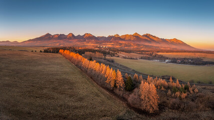 alley of yellow trees near the village of Tatranska Strba,