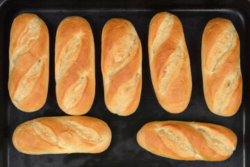 An overhead shot of multiple freshly baked, golden-brown bread rolls arranged on a dark baking sheet