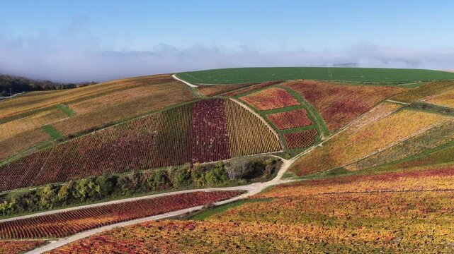 vue a&eacute;rienne des vignobles des Riceys en Champagne. les parcelles color&eacute;es durant l'automne avec de belles couleurs et un ciel bleu. Le feuillage rouge et jaune des vignes sur les c&ocirc;teaux de ce site