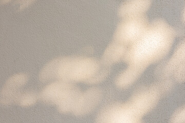 close up on beige plain wall background texture with shadow of window from sunlight for ads and advertisement product such as cosmetic or content or goods design display concept