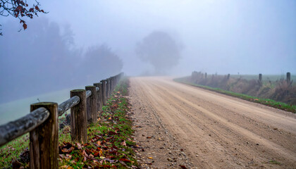 Foggy road landscape nature path travel mist rural scenic countryside view
