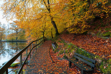 Beautiful autumn colors at Soderasen National Park in Sweden