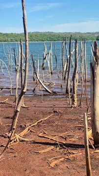 Detalhe de onda batendo na beira do lago, com &aacute;gua muito azul e ambiente cheio de troncos finos e secos de &aacute;rvores mortas. Parque Altamiro de Moura Pacheco.