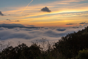 Sunrise with low clouds, with yellow and orange colors and vegetation in the foreground