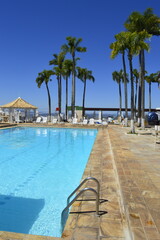 Verão com piscina e coqueiros