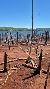 V&iacute;deo mostrando um lago com v&aacute;rios troncos secos de &aacute;rvores mortas &agrave;s margens.