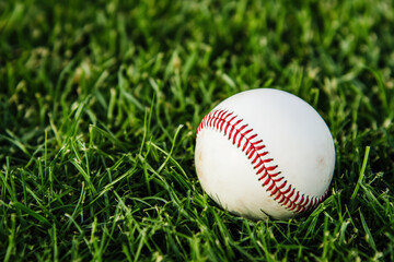 Single baseball sitting on green short cut grass, symbolizing summer sports, play, competition, and outdoor activity