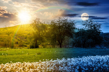 rural landscape with blooming dandelion field on spring equinox. day and night time change concept. agriculture countryside with mountain under sun and moon. farmland orchard in springtime weather © Pellinni