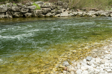 Fototapeta premium Leisurely Flow of River, Water Relaxing Nature Scene