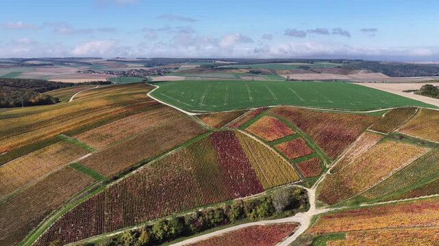 vue a&eacute;rienne des vignobles des Riceys en Champagne. les parcelles color&eacute;es durant l'automne avec de belles couleurs et un ciel bleu. Le feuillage rouge et jaune des vignes sur les c&ocirc;teaux de ce site