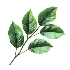 Vibrant Green Tropical Plant Branch with Lush Leaves