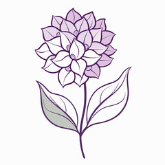 vector illustration of a flower