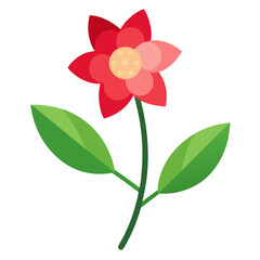 summersweet flower on white background