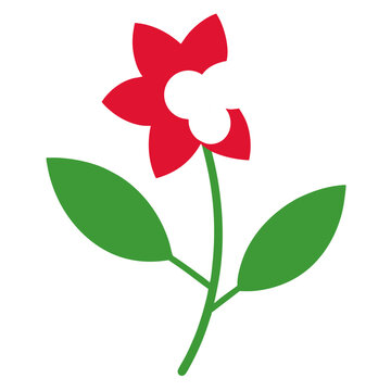 summersweet flower on white background