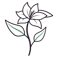 black and white flower