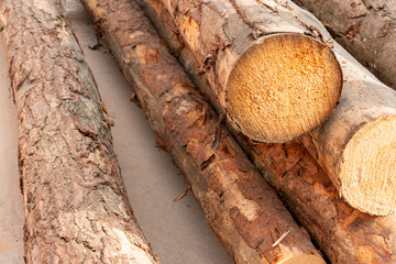 Stacked sawed logs on a concrete ground. Selective focus.