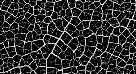 Intricate cracked surface. The detailed pattern, with its web-like design, offers a unique texture and visual intrigue
