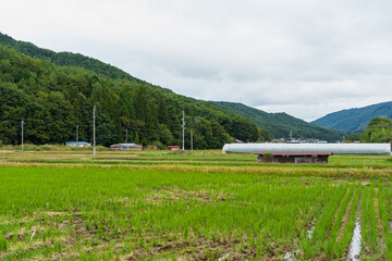秋の農道（ 飛騨一之宮） 2025年10月中旬撮影