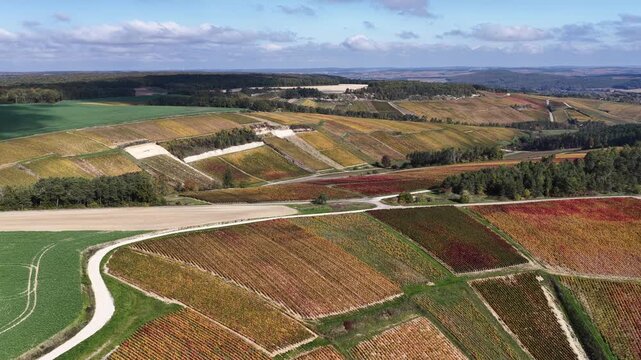 vue a&eacute;rienne des vignobles des Riceys en Champagne. les parcelles color&eacute;es durant l'automne avec de belles couleurs et un ciel bleu. Le feuillage rouge et jaune des vignes sur les c&ocirc;teaux de ce site