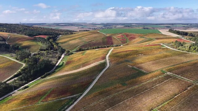vue a&eacute;rienne des vignobles des Riceys en Champagne. les parcelles color&eacute;es durant l'automne avec de belles couleurs et un ciel bleu. Le feuillage rouge et jaune des vignes sur les c&ocirc;teaux de ce site