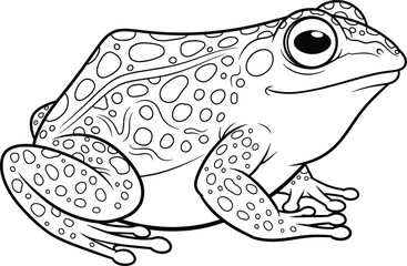 Detailed line art illustration of a spotted frog, perfect for biology, nature, amphibian, or children's educational content with a cute, cartoonish style.
