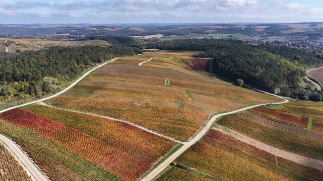 vue a&eacute;rienne des vignobles des Riceys en Champagne. les parcelles color&eacute;es durant l'automne avec de belles couleurs et un ciel bleu. Le feuillage rouge et jaune des vignes sur les c&ocirc;teaux de ce site