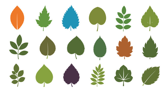 Diverse and colorful leaf silhouettes in various shapes and patterns, representing different trees and seasons, isolated on a white background.