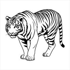 Minimalist Flat Design Jumping Animal Illustration Vector Set, A Vibrant Graphic Representing Action, Movement, and Energy for Digital Wild Life Use.