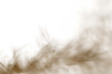 Obraz premium Brown sand dust PNG overlay with transparent background. Dynamic PNG particles for dramatic desert or flying dust compositions.