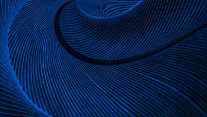 blue feather pigeon . texture or background