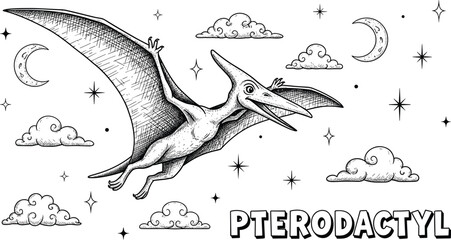 Pterodactyl Flying Through a Starry Night Sky with Clouds, a Prehistoric Reptile in Flight, Fantasy Adventure Scene for Children's Education, Paleontology Illustration for Books and Science
