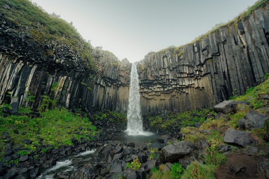 View of Svartifoss waterfall cascading down basalt columns, embraced by vibrant green vegetation, a stark contrast against the dark rocks, Svartifoss, Sveitarfélagio Hornafjorour, Iceland. - Powered by Adobe