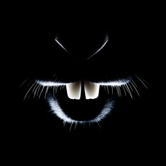 Front view, silhouette light of a rabbit's head, showing two white teeth, no details, clean black background, minimalist composition, sharp edges, 