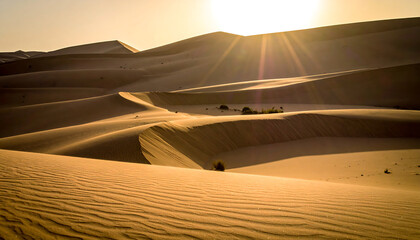 Smooth desert dunes with warm sunlight and soft shadows, creating a minimal natural composition