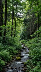 Fototapeta premium Lush green forest with flowing stream and natural sunlight filtering through 