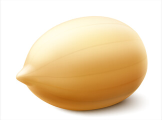 Peanuts isolated on white background. For packaging with peanut butter, a mixture of nuts. Vegetable protein for vegetarians, a healthy product. Realistic vector 3D illustration.