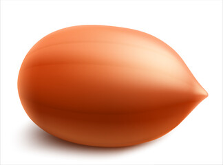 Peanuts isolated on white background. For packaging with peanut butter, a mixture of nuts. Vegetable protein for vegetarians, a healthy product. Realistic vector 3D illustration.