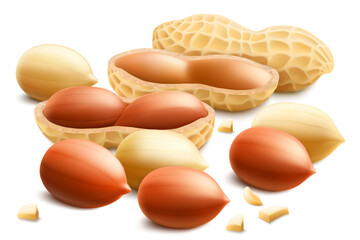 Set of shelled and unshelled peanuts, isolated on white background. For packaging with peanut butter, mix of nuts. Vegetable protein for vegetarians, healthy product. Realistic vector 3D illustration.