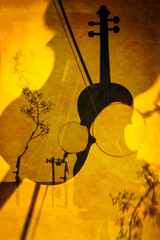 Abstract collage with violin made using double exposure