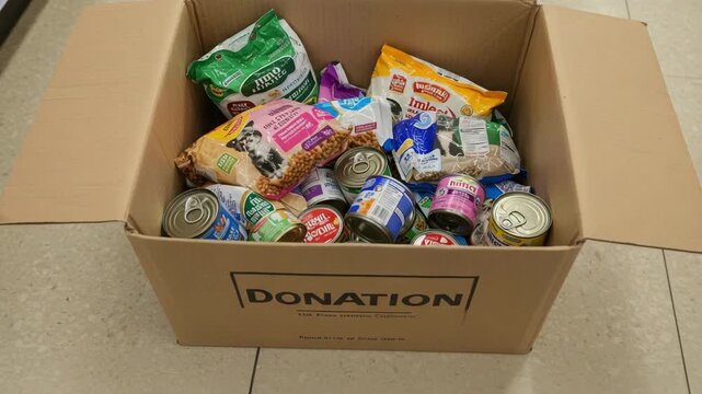 Donation box with canned pet food, dry kibble and toys for animals, donation placed near shelter entrance, donation related to charity, pet rescue, nonprofit aid and animal welfare projects