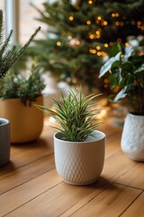 Fototapeta premium Indoor plant arrangement on wooden floor with festive lights