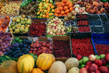 Large variety of fruit is on display in a store.