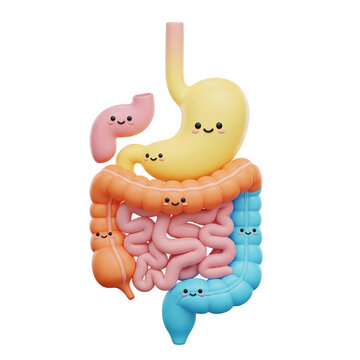 Cartoon Digestive System Illustration with Smiling Organs