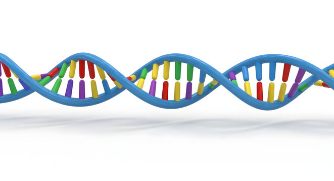 Blue 3d DNA strand illustration on a white background for medical technology and science concept design - Powered by Adobe