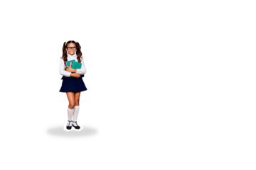 Composite photo collage of happy geek girl bookworm carry textbook stack education literature subject isolated on painted background