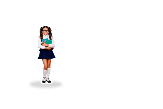 Composite photo collage of happy geek girl bookworm carry textbook stack education literature subject isolated on painted background